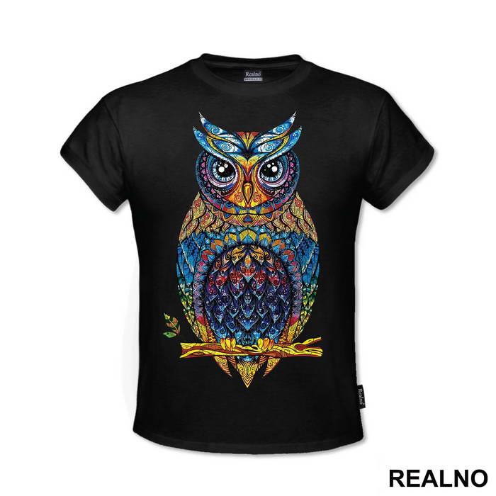 Colorful Owl - Životinje