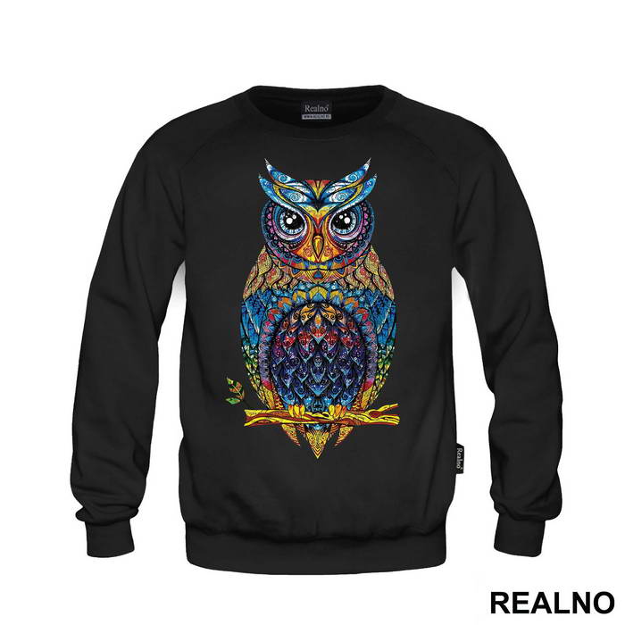 Colorful Owl - Životinje
