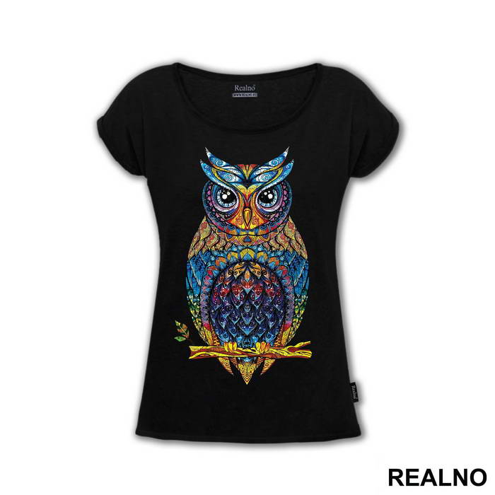 Colorful Owl - Životinje