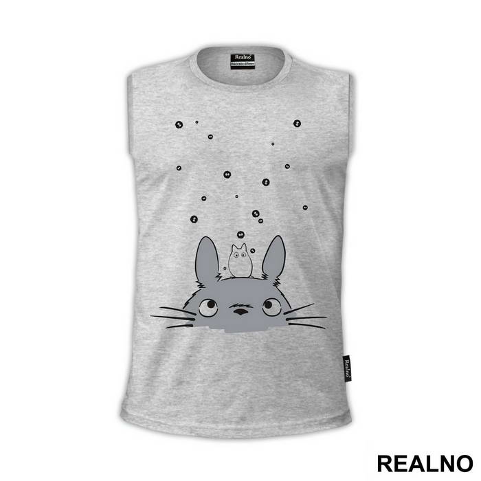 Moj Komšija Totoro - Crtani filmovi