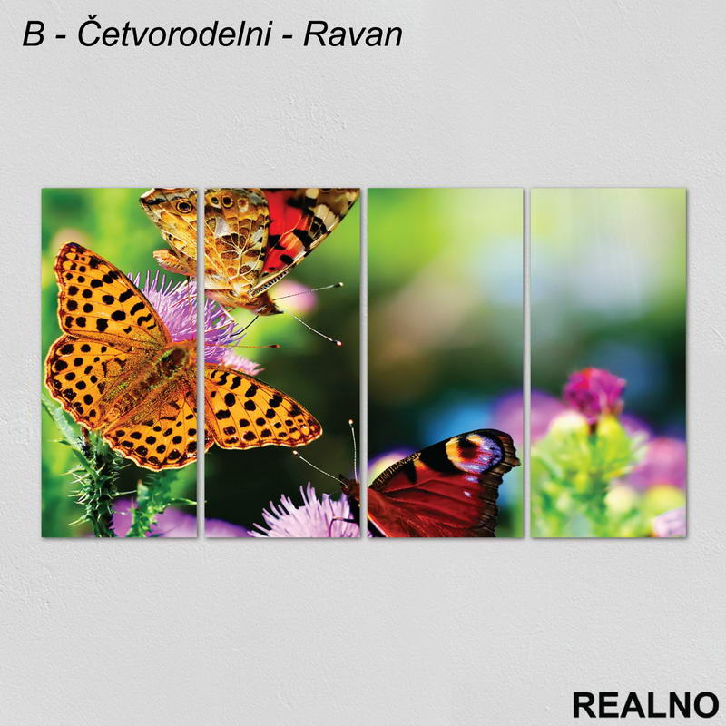 Leptiri na cvetu - Slika na platnu - Kanvas