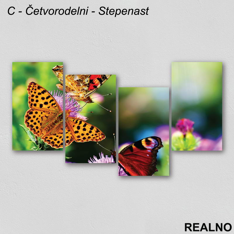 Leptiri na cvetu - Slika na platnu - Kanvas