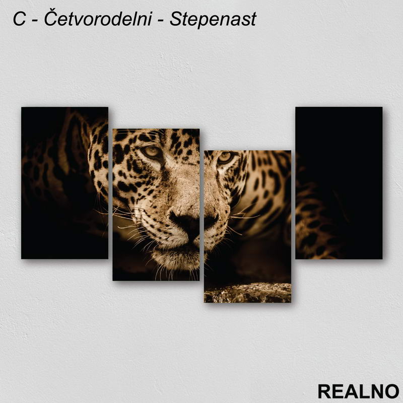Leopard - Slika na platnu - Kanvas