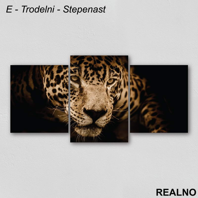 Leopard - Slika na platnu - Kanvas