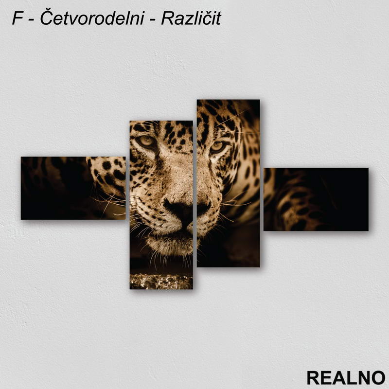 Leopard - Slika na platnu - Kanvas