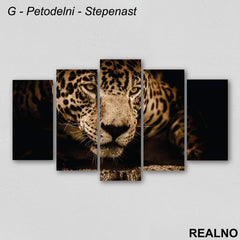 Leopard - Slika na platnu - Kanvas