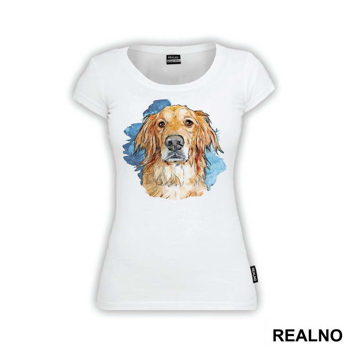 Golden Retriever Blue Splash - Životinje