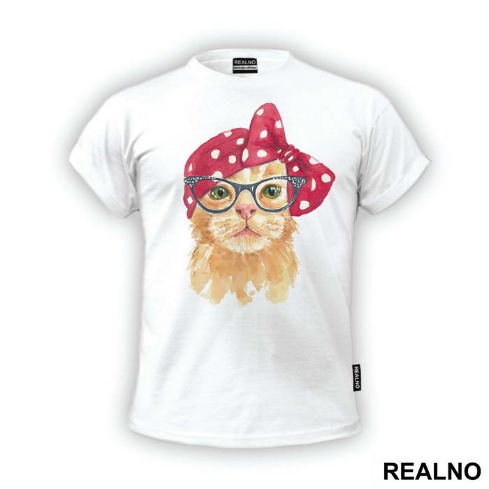 Cat With a Rag On Its Head - Životinje