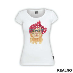 Cat With a Rag On Its Head - Životinje