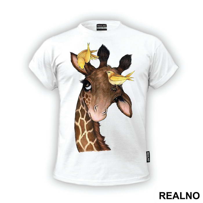 Giraffe And Two Yellow Birds - Životinje