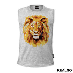 Lion Face Illustration - Životinje