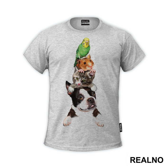 Dog, Cat, Mouse And a Parret - Životinje