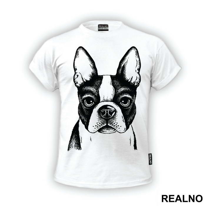 Dog Face Illustration - Životinje