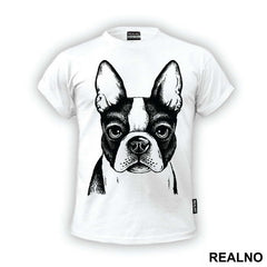 Dog Face Illustration - Životinje