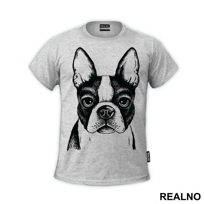 Dog Face Illustration - Životinje