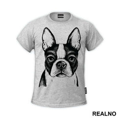 Dog Face Illustration - Životinje