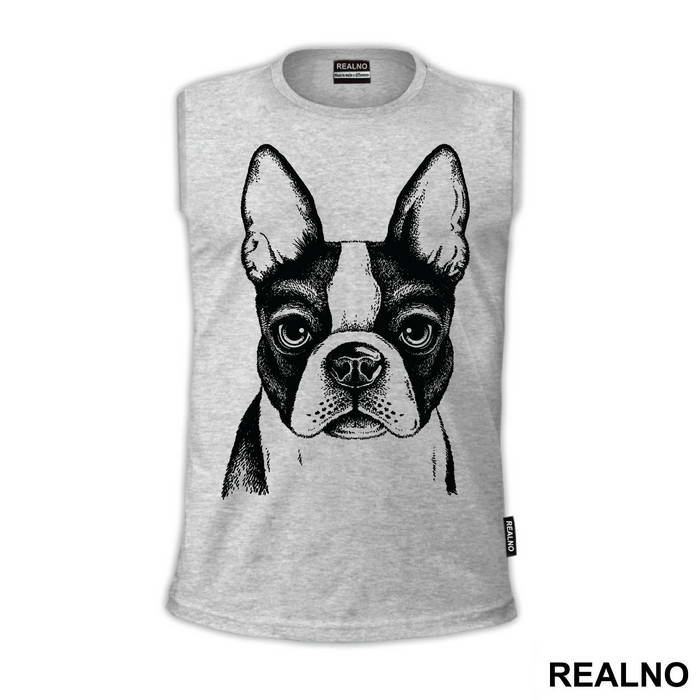 Dog Face Illustration - Životinje