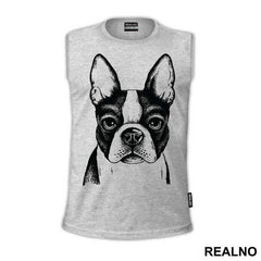 Dog Face Illustration - Životinje
