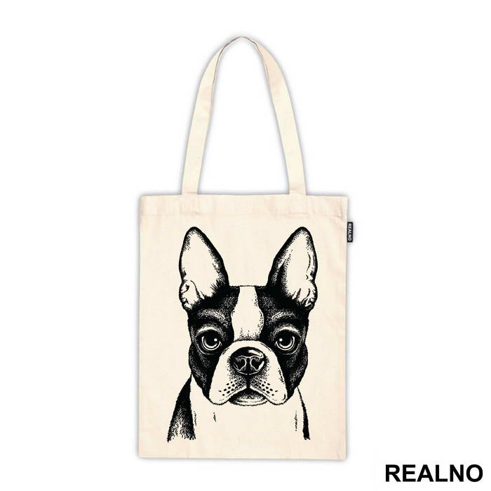Dog Face Illustration - Životinje
