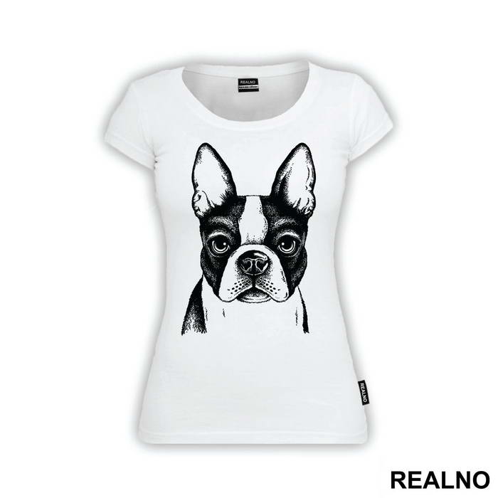 Dog Face Illustration - Životinje