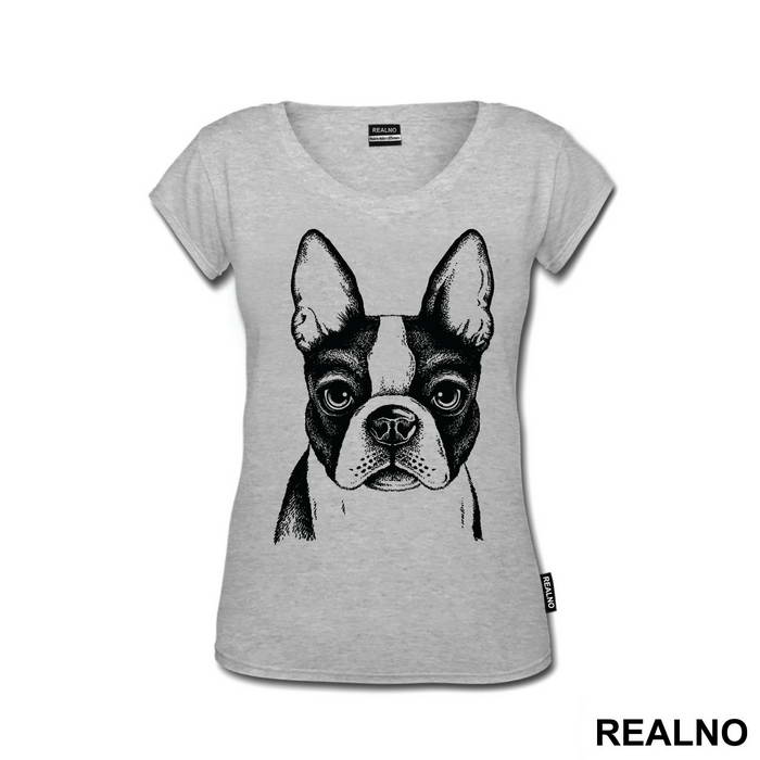 Dog Face Illustration - Životinje