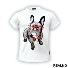 French Bulldog Wearing Red Glasses - Životinje
