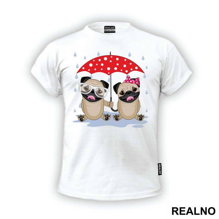 Two Pugs Under An Umbrella - Životinje