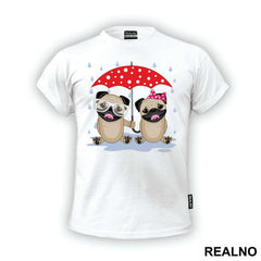 Two Pugs Under An Umbrella - Životinje