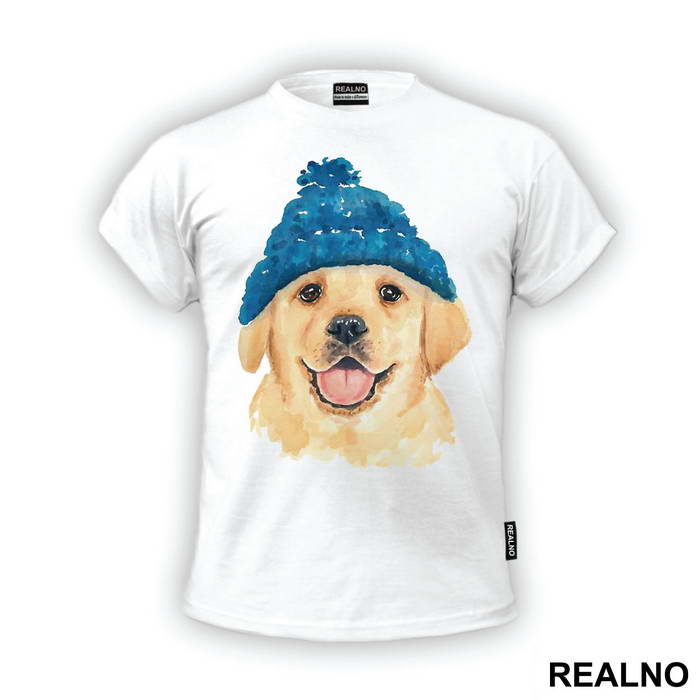 Puppy Wearing A Beanie - Životinje