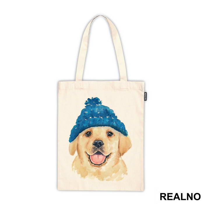 Puppy Wearing A Beanie - Životinje