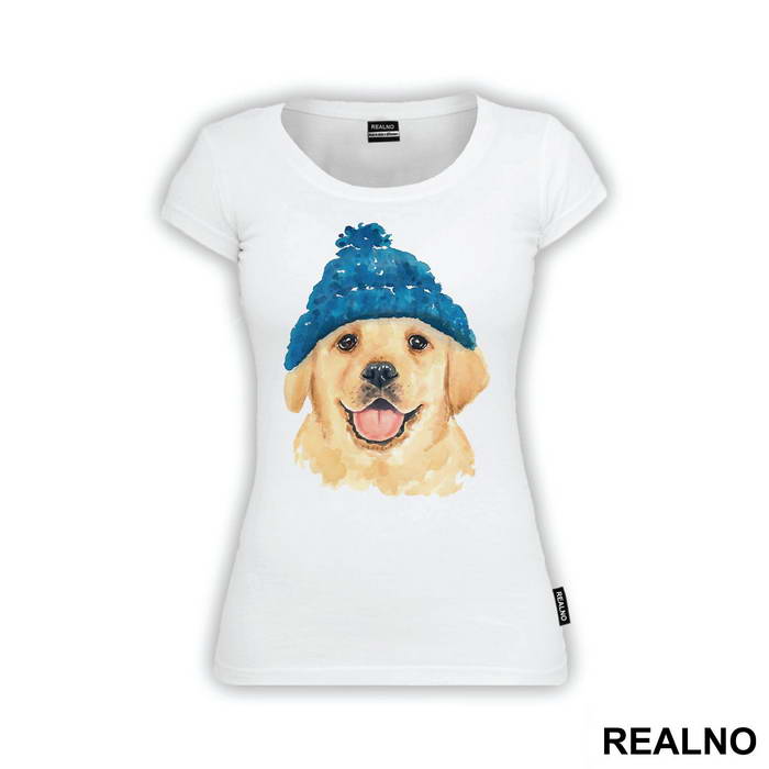 Puppy Wearing A Beanie - Životinje