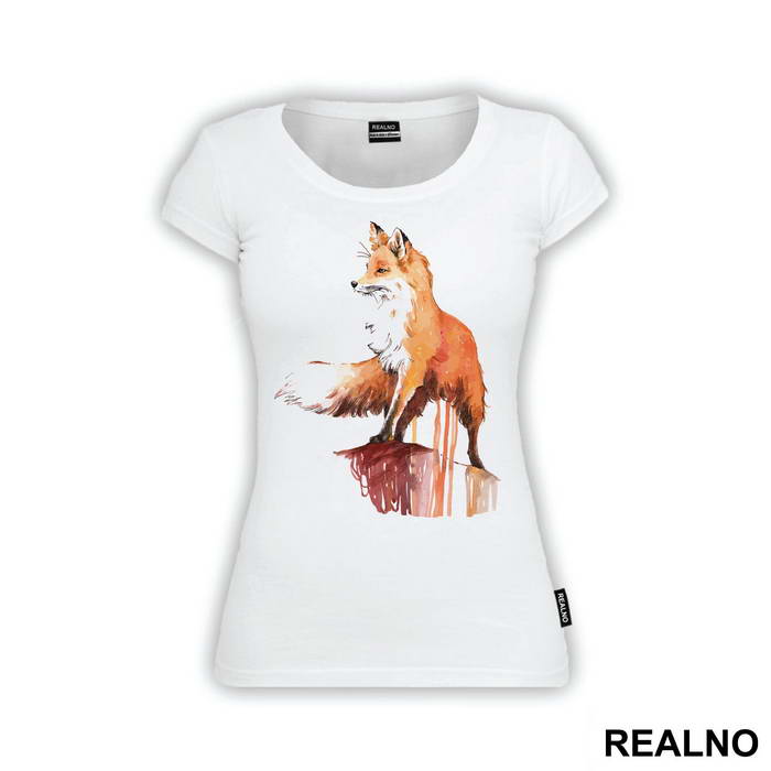 Fox Standing On A Ledge - Životinje