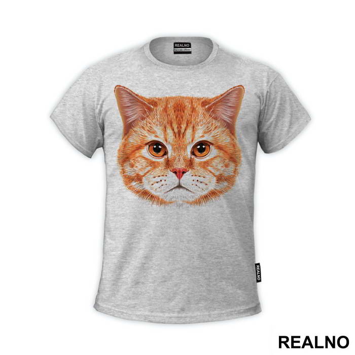 Ginger Cat Face - Životinje