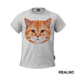 Ginger Cat Face - Životinje