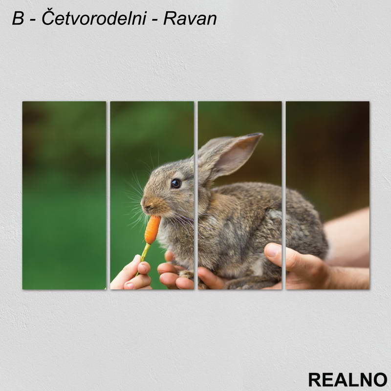 Zeka Sa Šargarepom - Slika na platnu - Kanvas