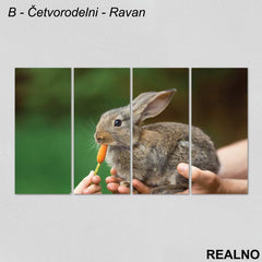 Zeka Sa Šargarepom - Slika na platnu - Kanvas
