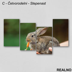 Zeka Sa Šargarepom - Slika na platnu - Kanvas