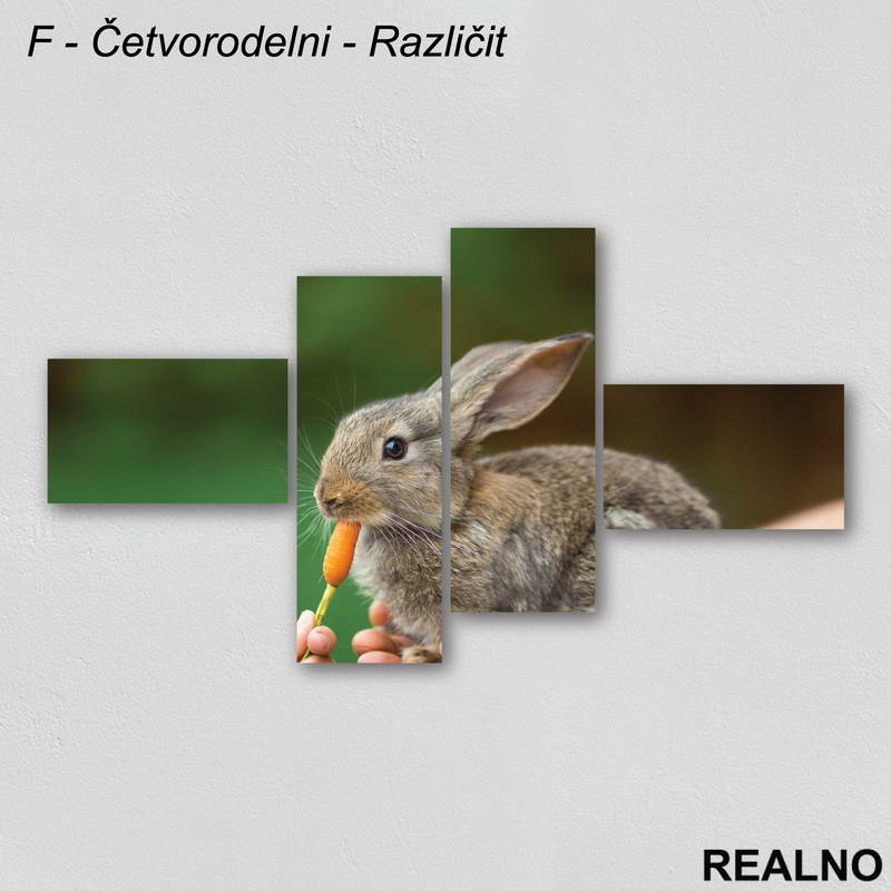 Zeka Sa Šargarepom - Slika na platnu - Kanvas