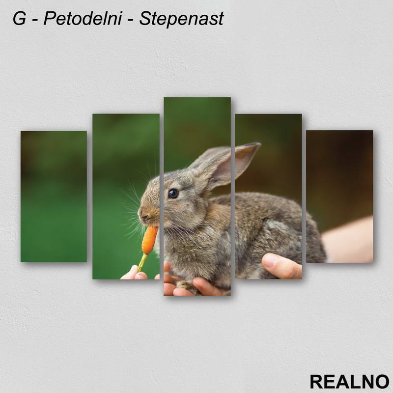 Zeka Sa Šargarepom - Slika na platnu - Kanvas