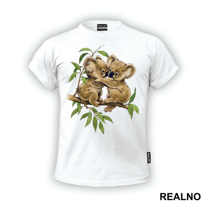 Two Koalas Hugging On A Branch - Životinje