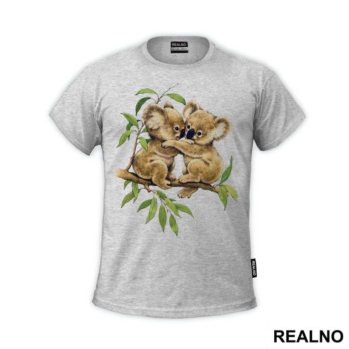 Two Koalas Hugging On A Branch - Životinje