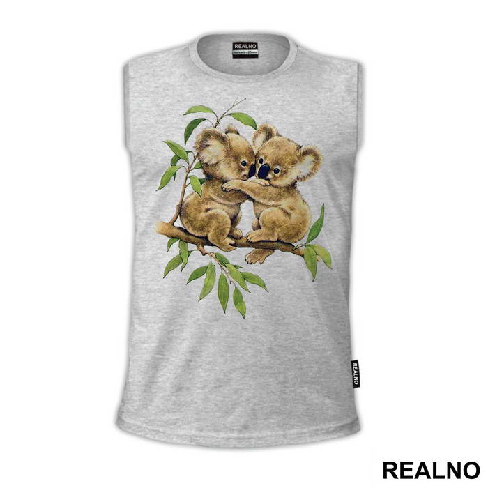Two Koalas Hugging On A Branch - Životinje