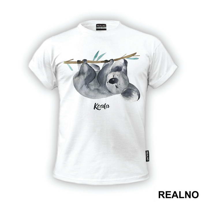 Koala Hanging On A Branch - Životinje