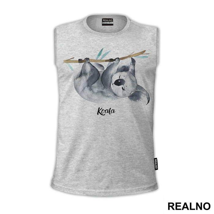 Koala Hanging On A Branch - Životinje