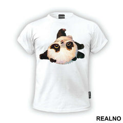 Baby Panda On Its Back - Životinje
