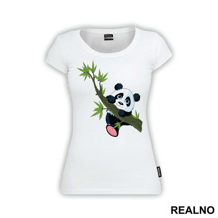 Panda Holding On To A Branch - Životinje