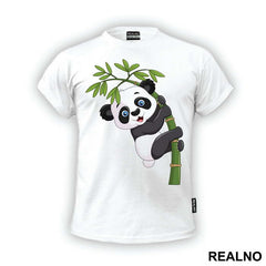 Baby Panda On A Branch - Životinje