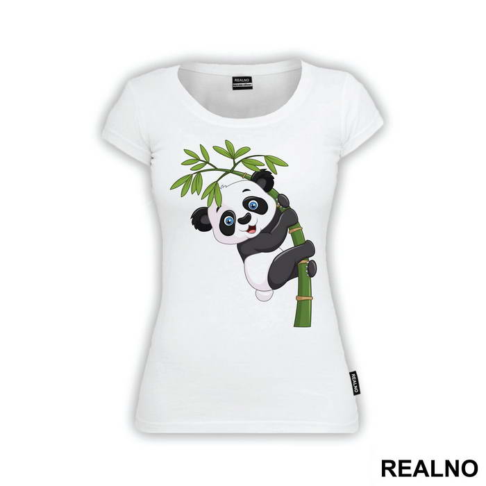 Baby Panda On A Branch - Životinje