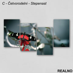 Crno - crveni leptir na crvenom cvetu - Slika na platnu - Kanvas