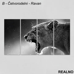 Lavica - Crno-bela fotografija - Slika na platnu - Kanvas